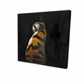 Fondo 12 x 12 in. Spotted Cat-Print on Canvas FO2774589